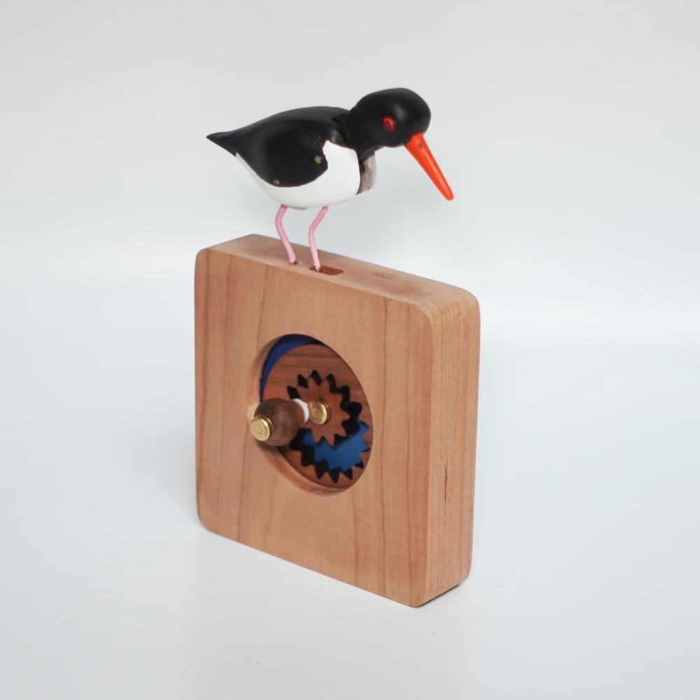 Oystercatcher automaton
