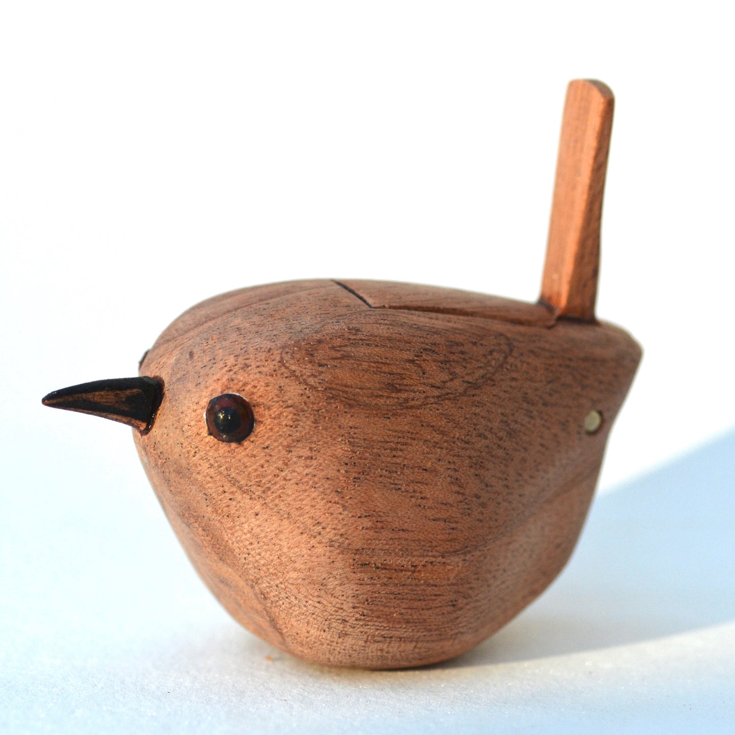 Wren with internal egg