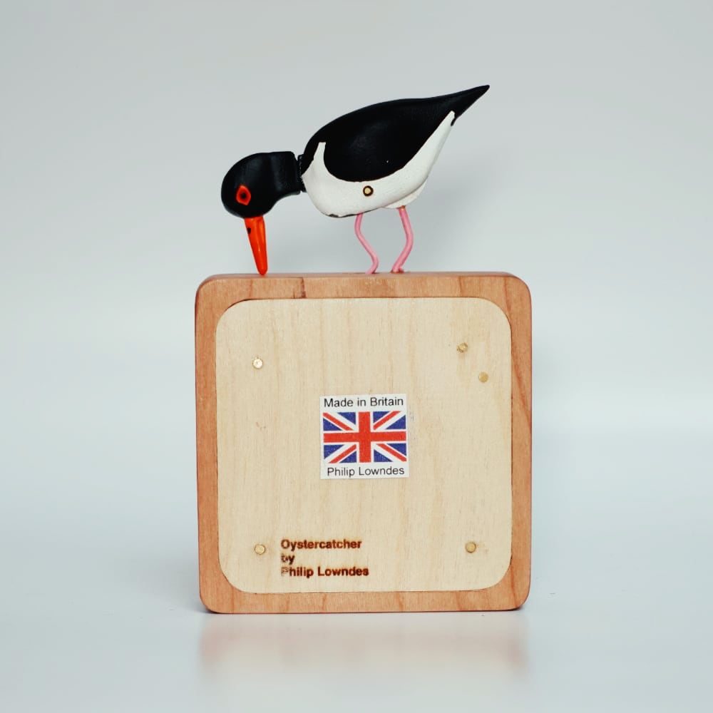 Oystercatcher automaton
