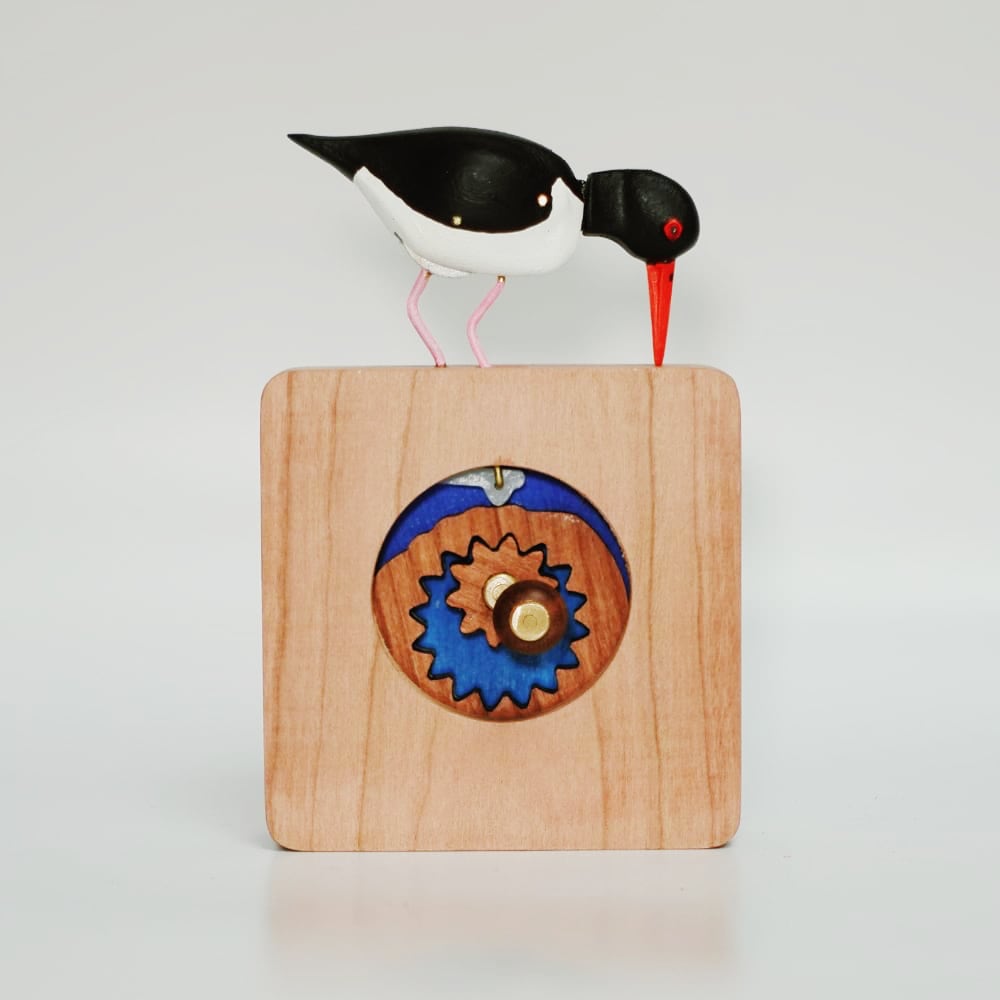Oystercatcher automaton