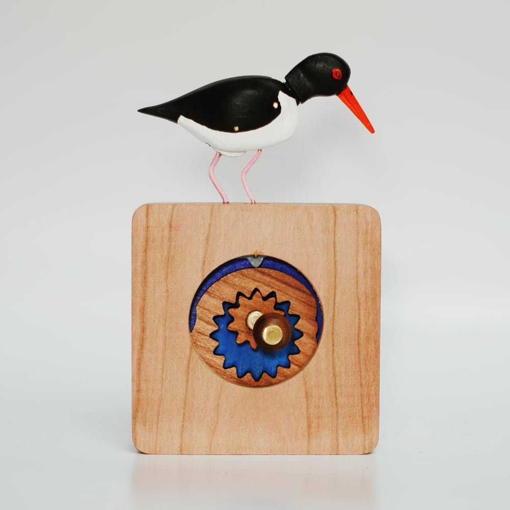 Oystercatcher automaton