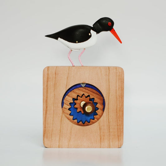 Oystercatcher automaton