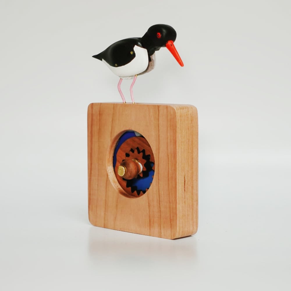 Oystercatcher automaton