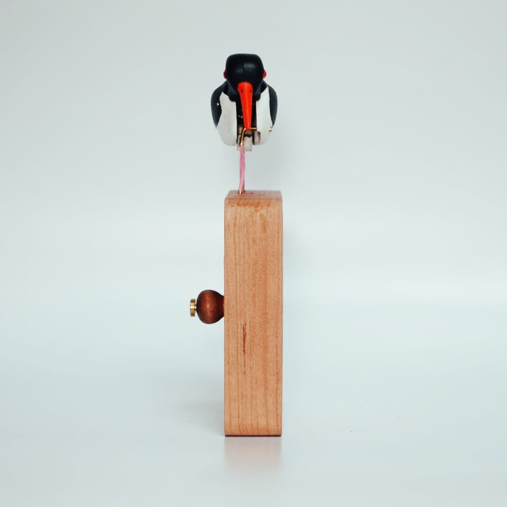 Oystercatcher automaton